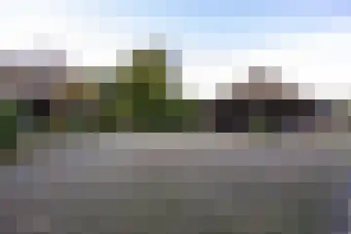 Houtwal 34 Marum thumbnail 16