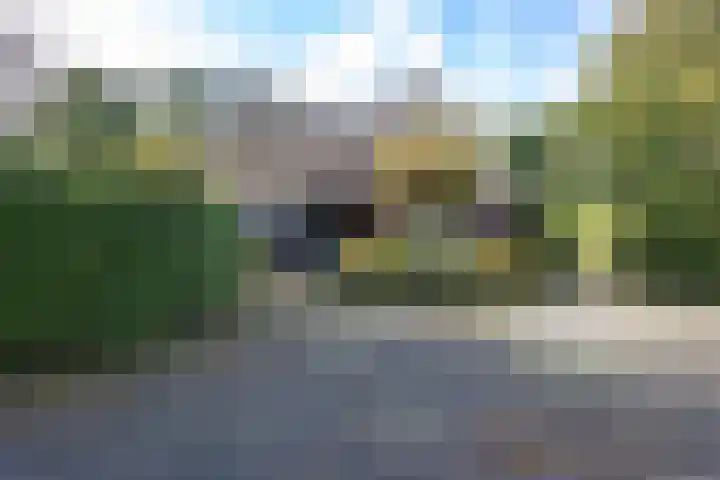 Houtwal 34 Marum thumbnail 18