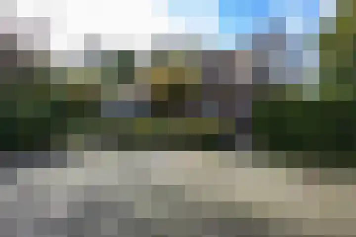 Houtwal 34 Marum thumbnail 19