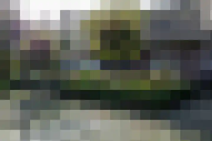 Houtwal 34 Marum thumbnail 20