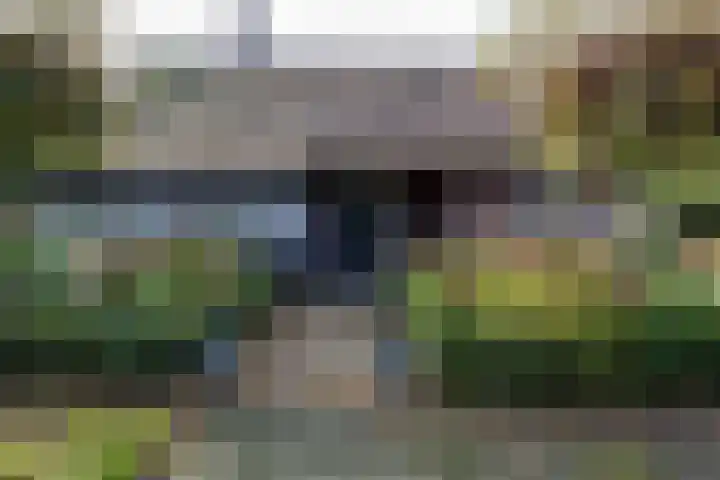 Houtwal 34 Marum thumbnail 21