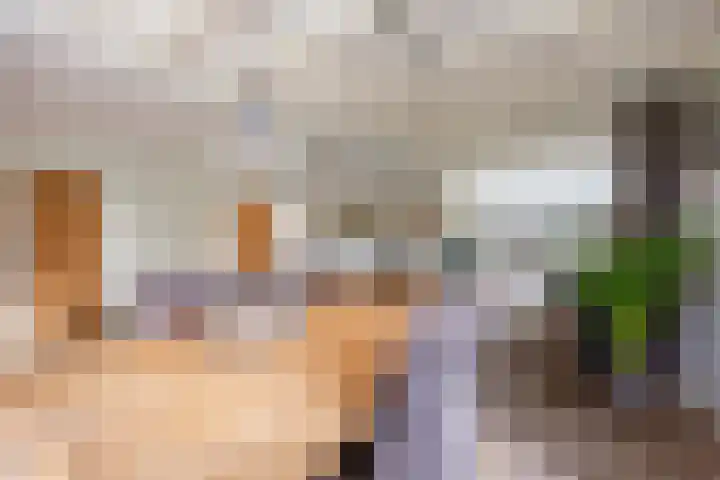 Houtwal 34 Marum thumbnail 30