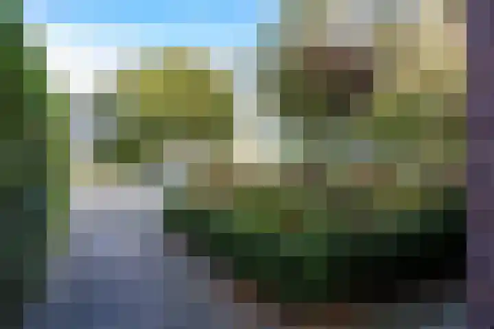 Houtwal 34 Marum thumbnail 69
