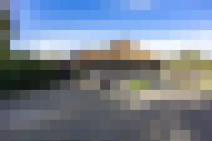 Houtwal 34 Marum thumbnail 71