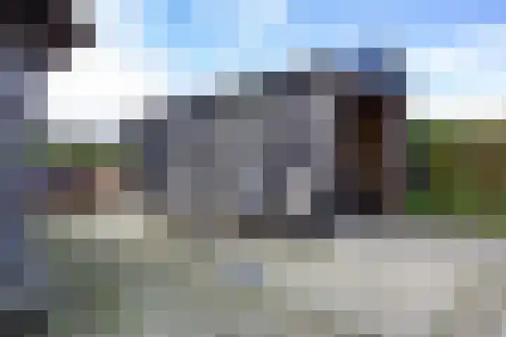 Houtwal 34 Marum thumbnail 77