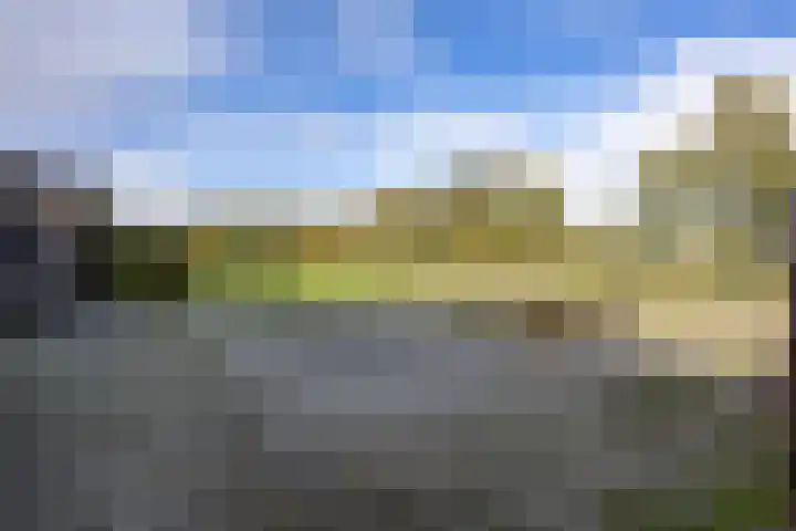 Houtwal 34 Marum thumbnail 80