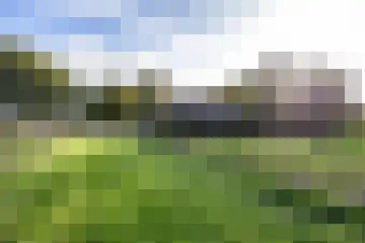 Houtwal 34 Marum thumbnail 85