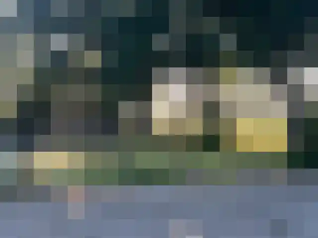 Houtwal 34 Marum thumbnail 86