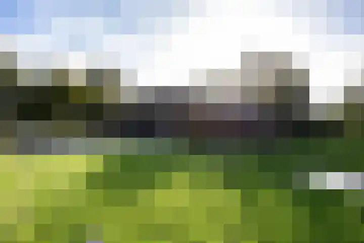 Houtwal 34 Marum thumbnail 87