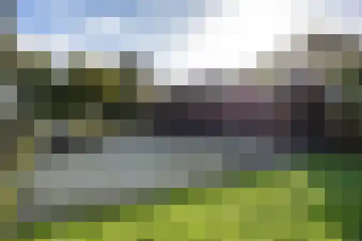 Houtwal 34 Marum thumbnail 88
