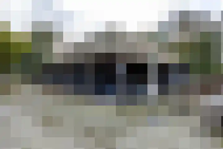 Houtwal 34 Marum thumbnail 89