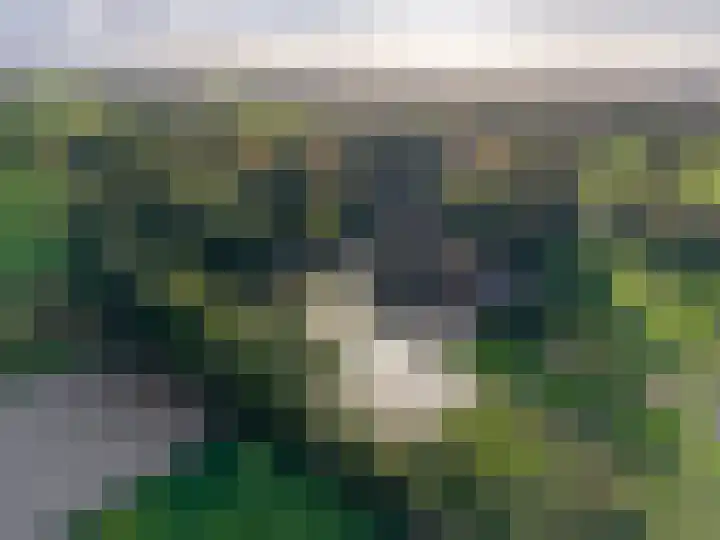 Houtwal 34 Marum thumbnail 9