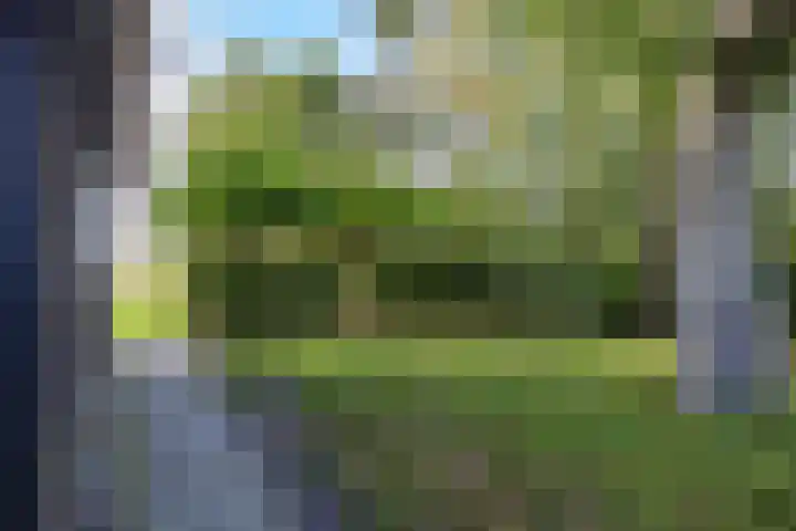 Houtwal 34 Marum thumbnail 92