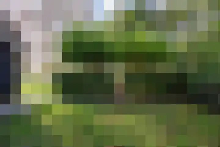 Houtwal 34 Marum thumbnail 93