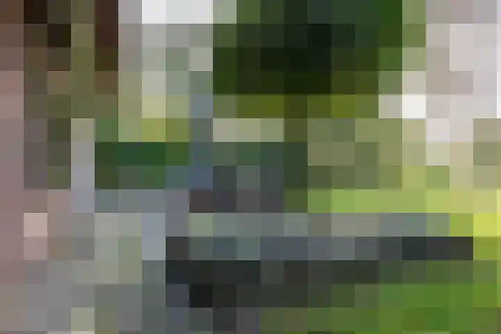 Houtwal 34 Marum thumbnail 97