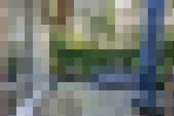 Houtwal 34 Marum thumbnail 99