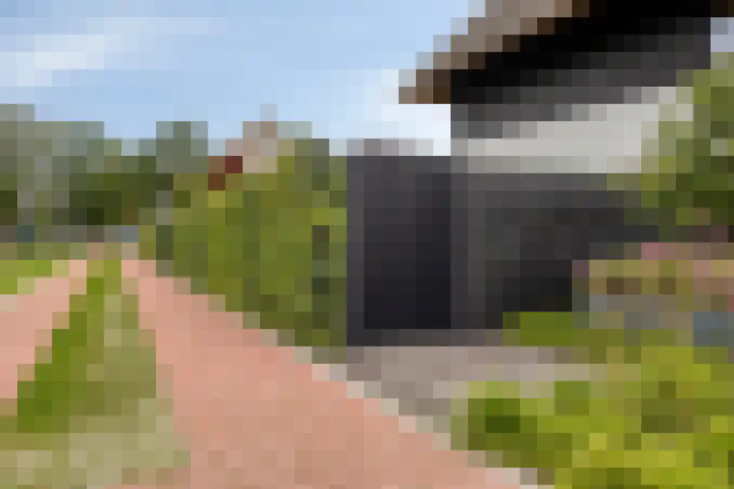 Houtwal 35 Hoeven thumbnail 15