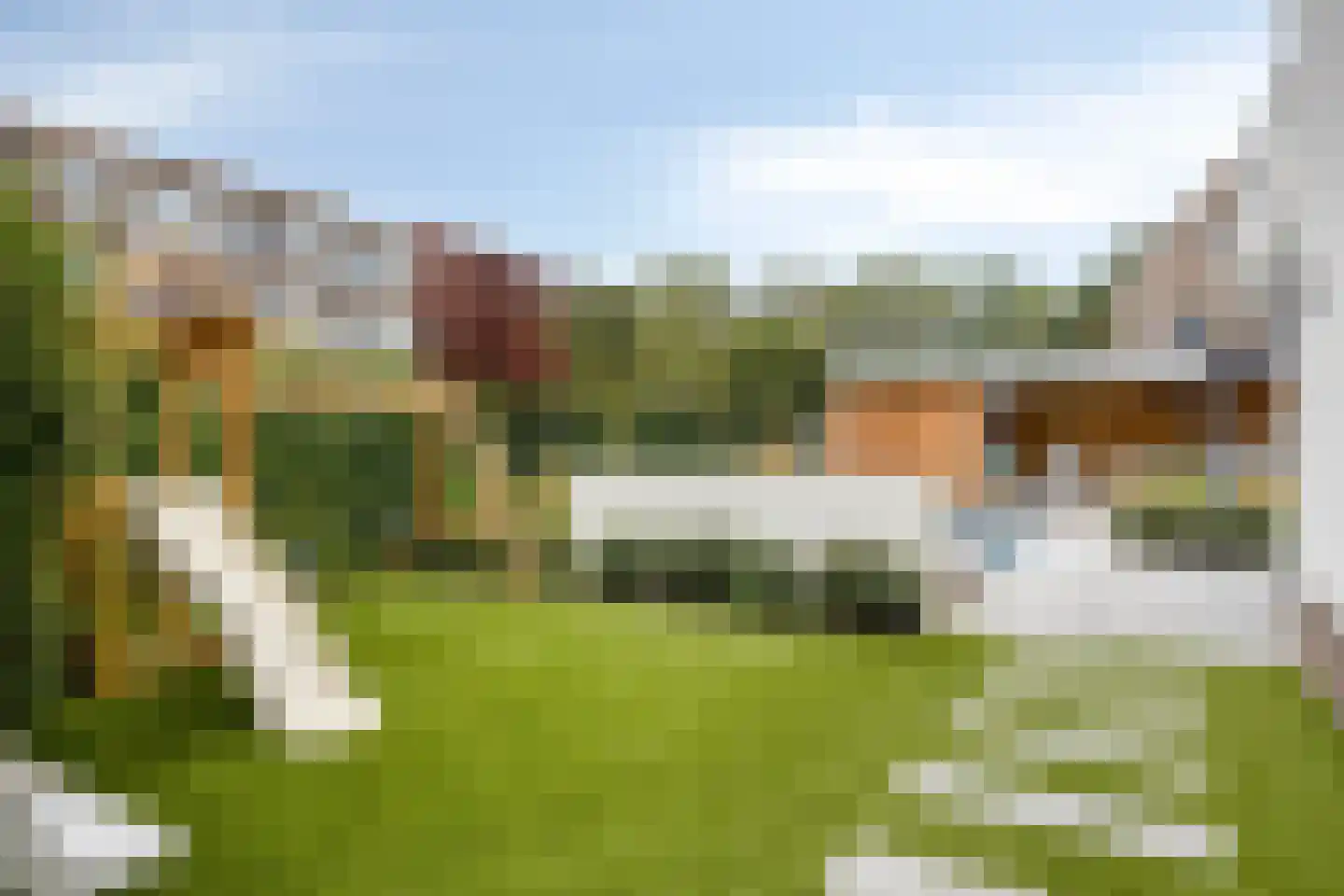 Houtwal 35 Hoeven thumbnail 27