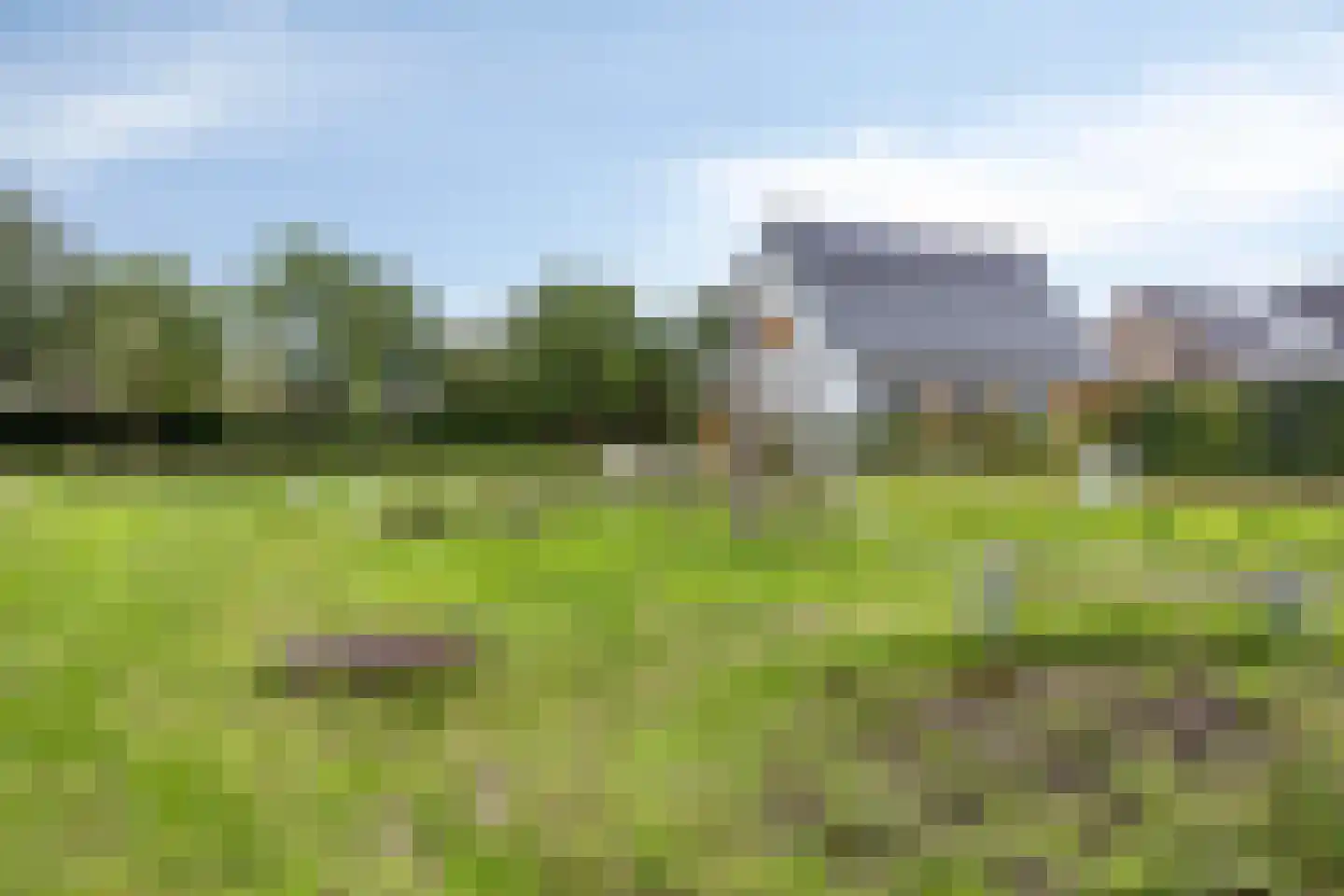 Houtwal 35 Hoeven thumbnail 73