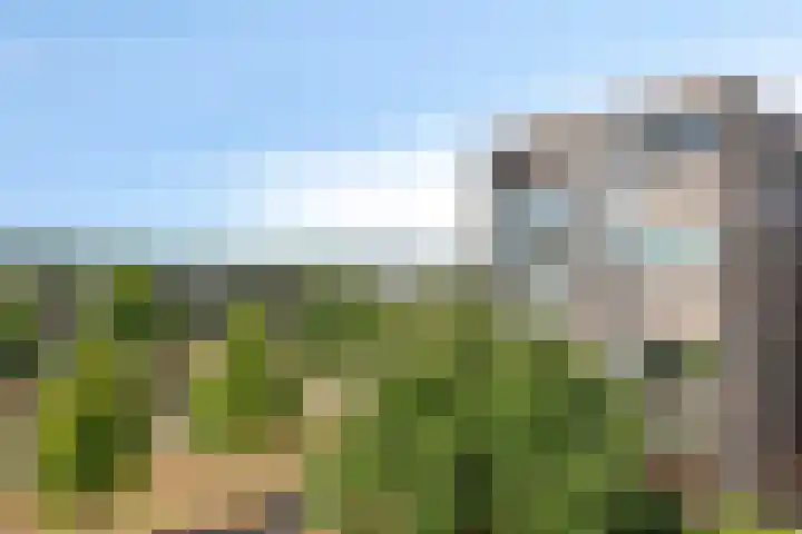 Houtwal 39 Veldhoven thumbnail 23
