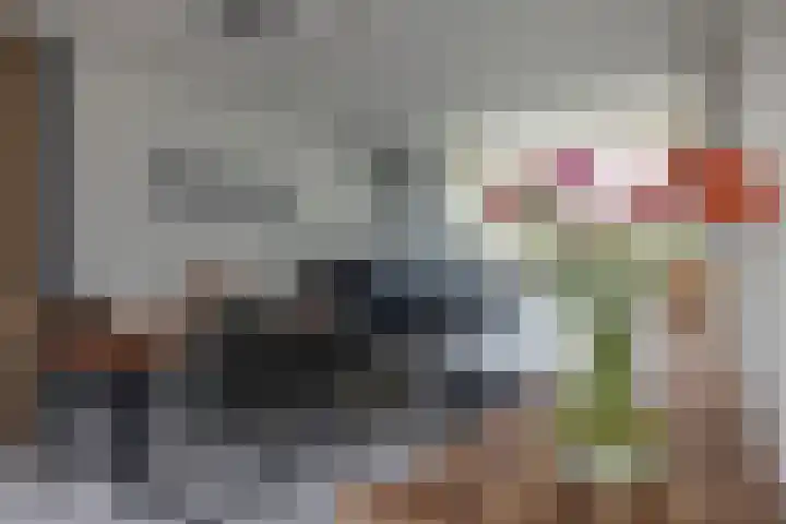 Houtwal 4 Niekerk thumbnail 10