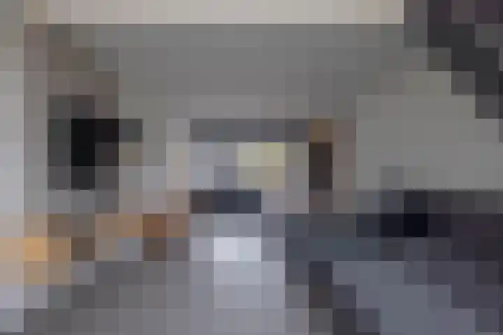 Houtwal 4 Niekerk thumbnail 13