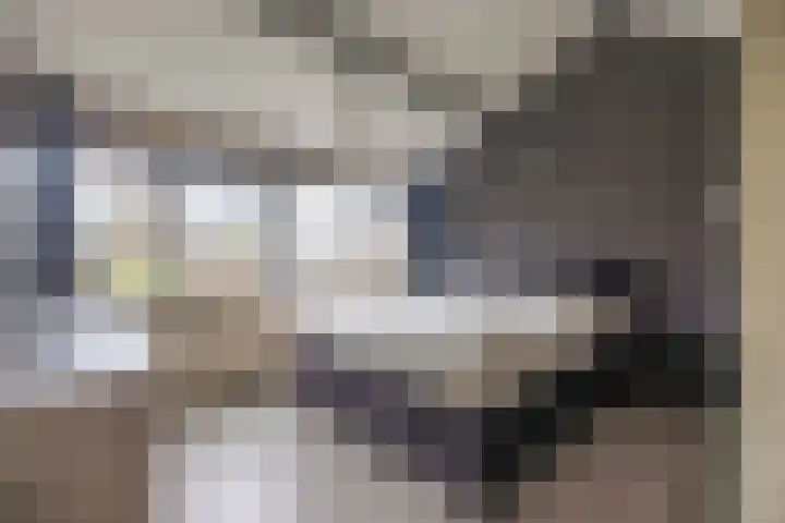 Houtwal 4 Niekerk thumbnail 20
