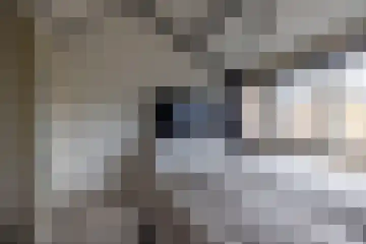 Houtwal 4 Niekerk thumbnail 21