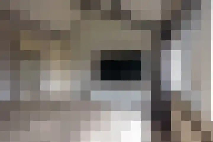 Houtwal 4 Niekerk thumbnail 22