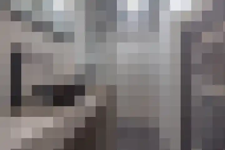 Houtwal 4 Niekerk thumbnail 25