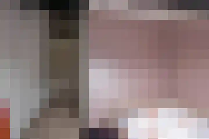Houtwal 4 Niekerk thumbnail 29