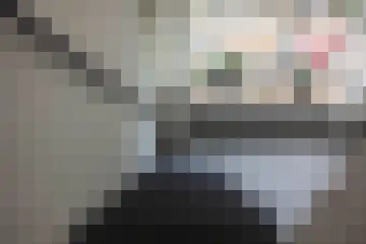 Houtwal 4 Niekerk thumbnail 31