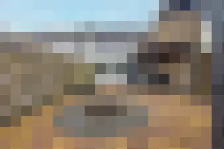 Houtwal 4 Niekerk thumbnail 33
