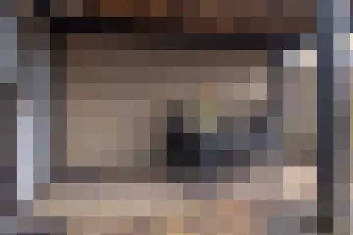 Houtwal 4 Niekerk thumbnail 34