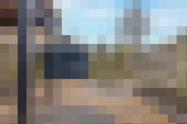 Houtwal 4 Niekerk thumbnail 35