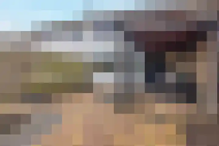 Houtwal 4 Niekerk thumbnail 36