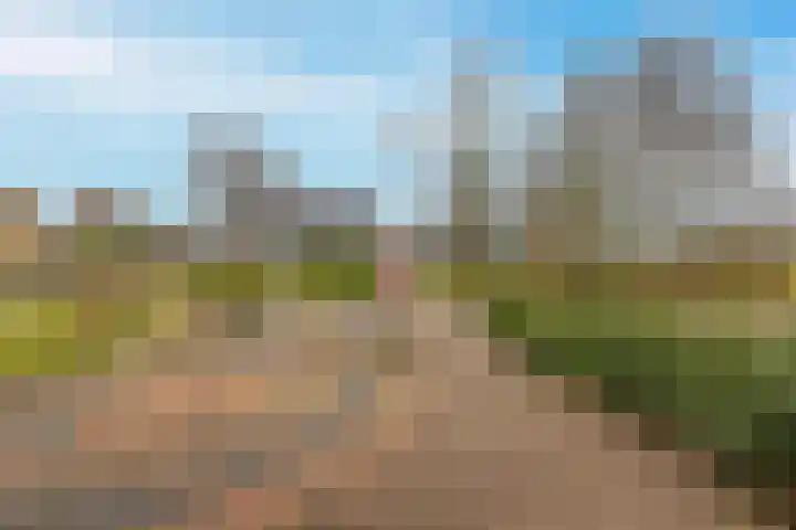 Houtwal 4 Niekerk thumbnail 38