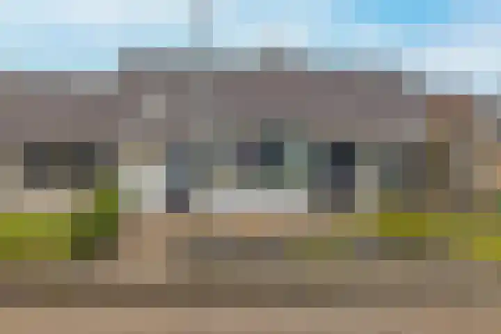 Houtwal 4 Niekerk thumbnail 39