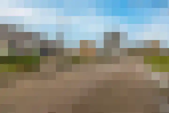 Houtwal 4 Niekerk thumbnail 40