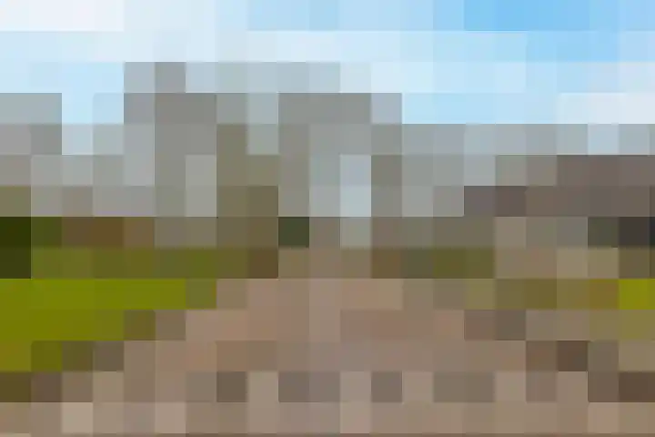Houtwal 4 Niekerk thumbnail 41