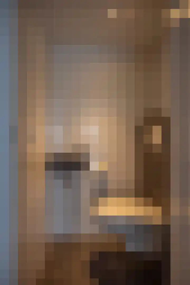 Houtwal 4 Niekerk thumbnail 5