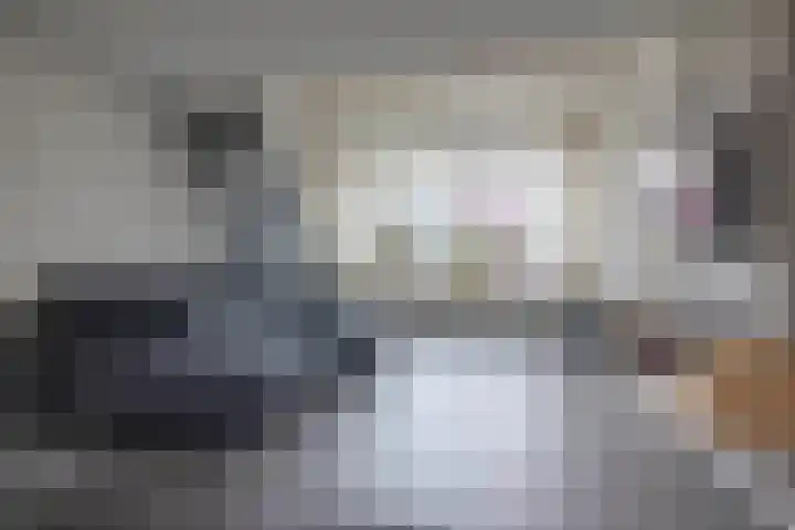 Houtwal 4 Niekerk thumbnail 7