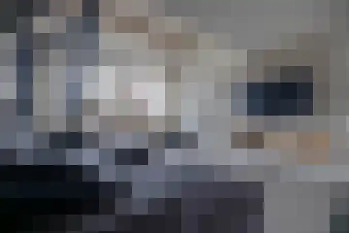 Houtwal 4 Niekerk thumbnail 8