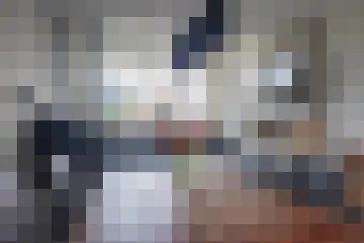 Houtwal 4 Niekerk thumbnail 9