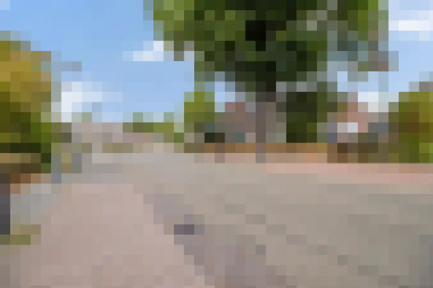 Houtwal 5 Brunssum thumbnail 21