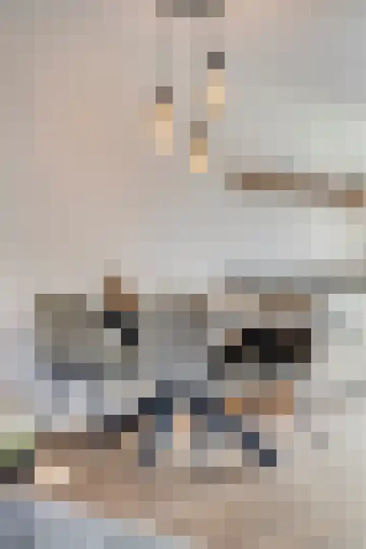 Houtwal 5 Hoeven thumbnail 17