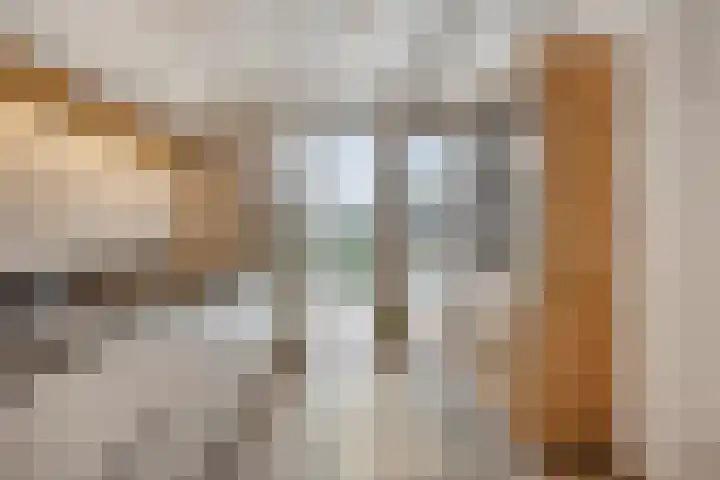 Houtwal 5 Hoeven thumbnail 21