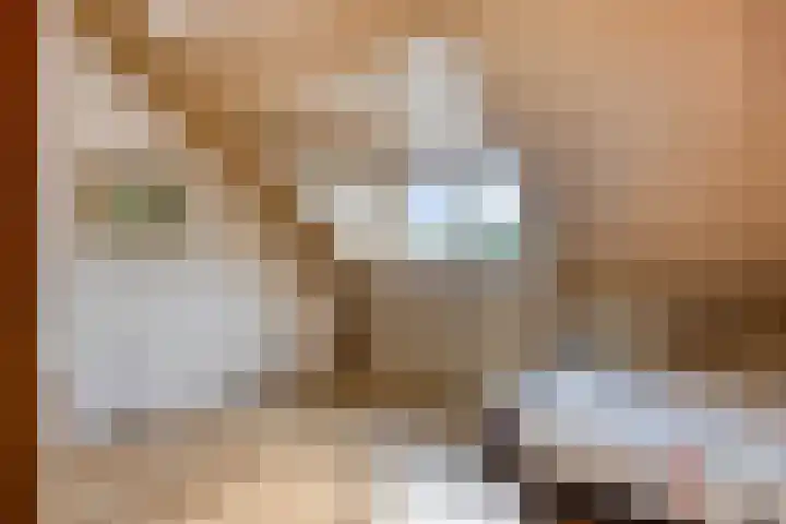 Houtwal 5 Hoeven thumbnail 28