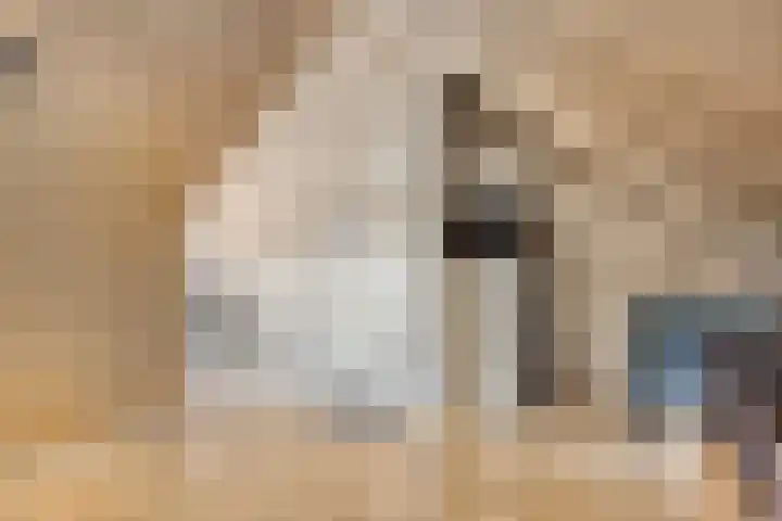 Houtwal 5 Hoeven thumbnail 31