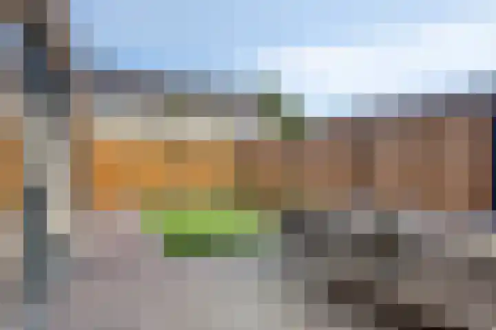 Houtwal 5 Hoeven thumbnail 32
